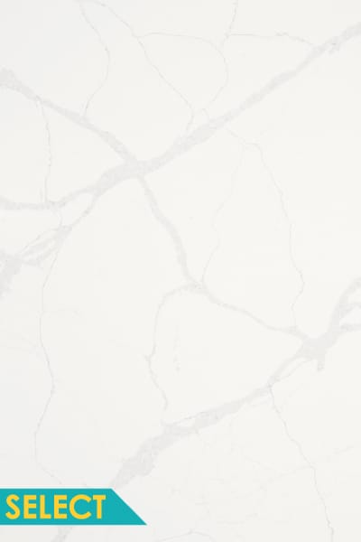 Bianco Statuario