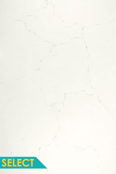 Bianco Venato