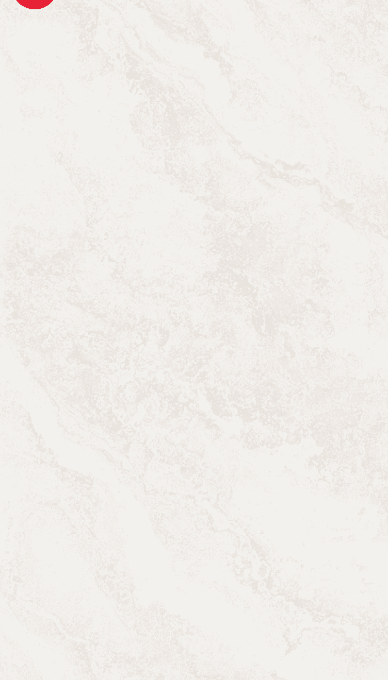 Galaxy Beige